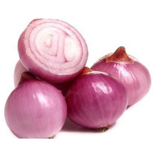 Natural Fresh Red Onions for Sale at Low Market Price